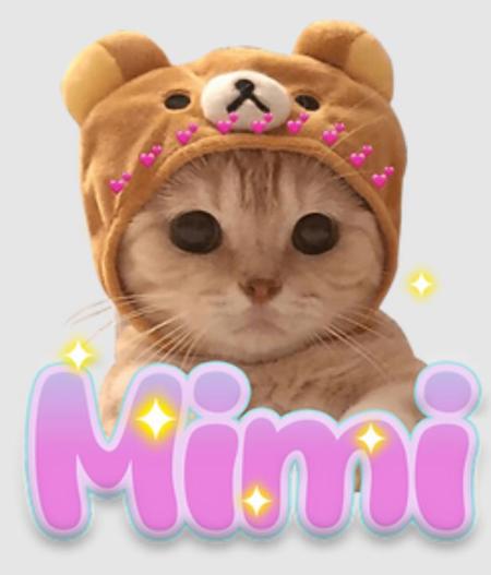 Mimi cat - AiTool.ai