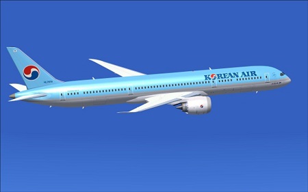 Korea air liner plane